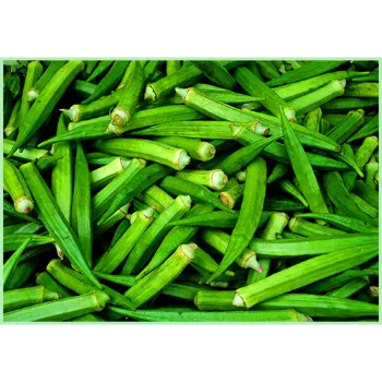 Lady Finger (23)-3504248-78691.webp
